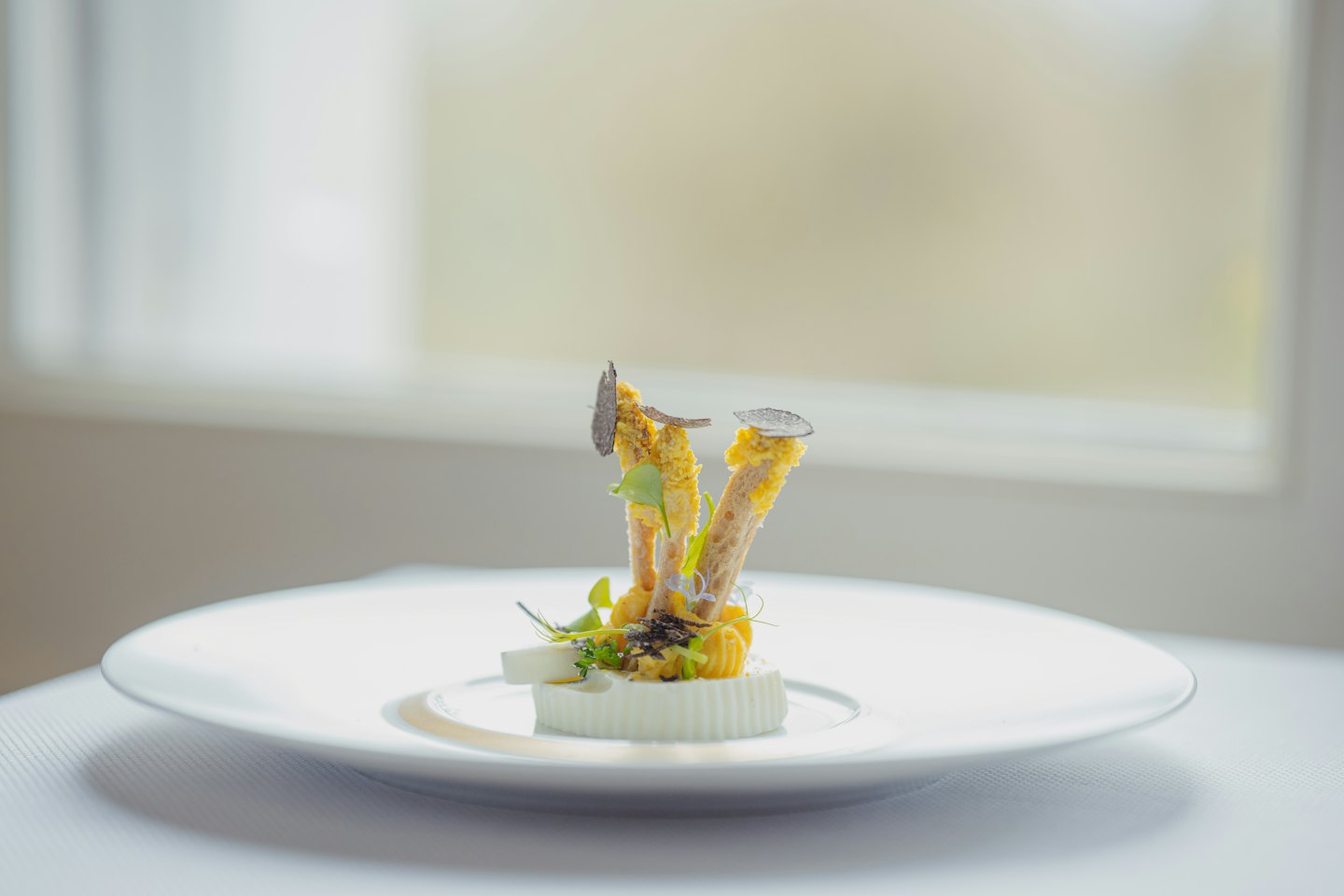 Gourmet breadsticks with truffle and microgreens on a white dish.