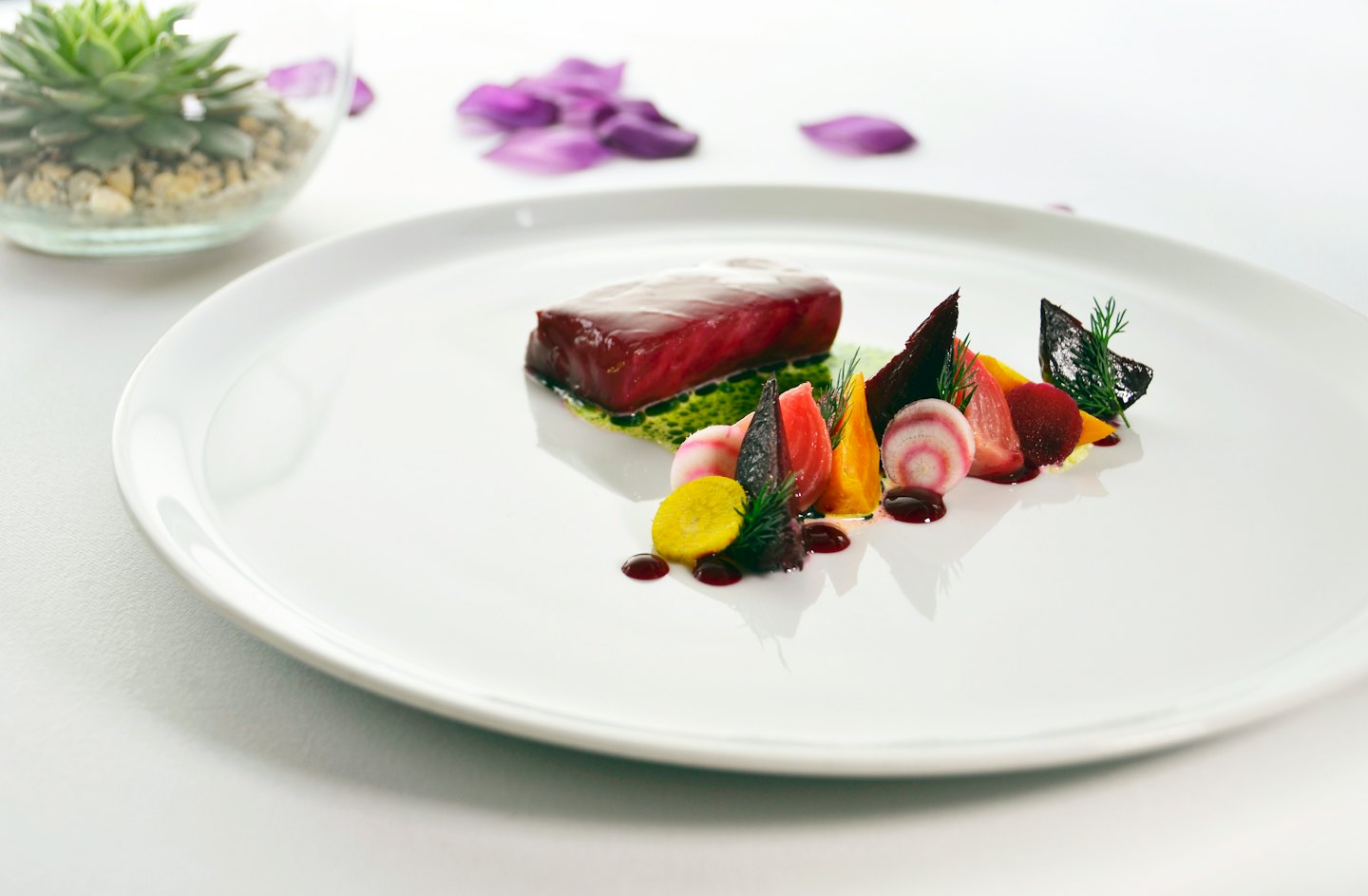 Gourmet red meat dish with colorful root vegetables on a white plate.